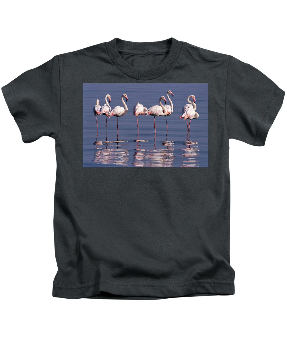 00511137 Kids T-Shirt featuring the photograph Greater Flamingo Group by Michael and Patricia Fogden