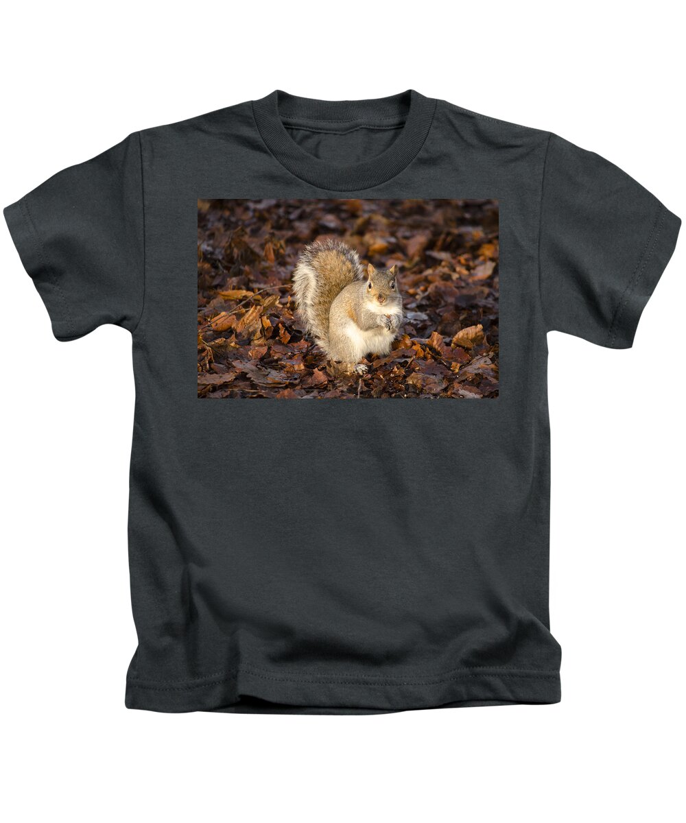 Squirrel Kids T-Shirt featuring the photograph Grey squirrel by Spikey Mouse Photography