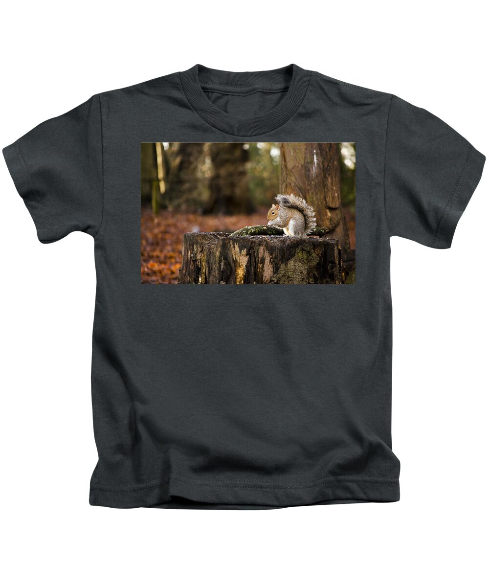 Squirrel Kids T-Shirt featuring the photograph Grey Squirrel on a Stump by Spikey Mouse Photography