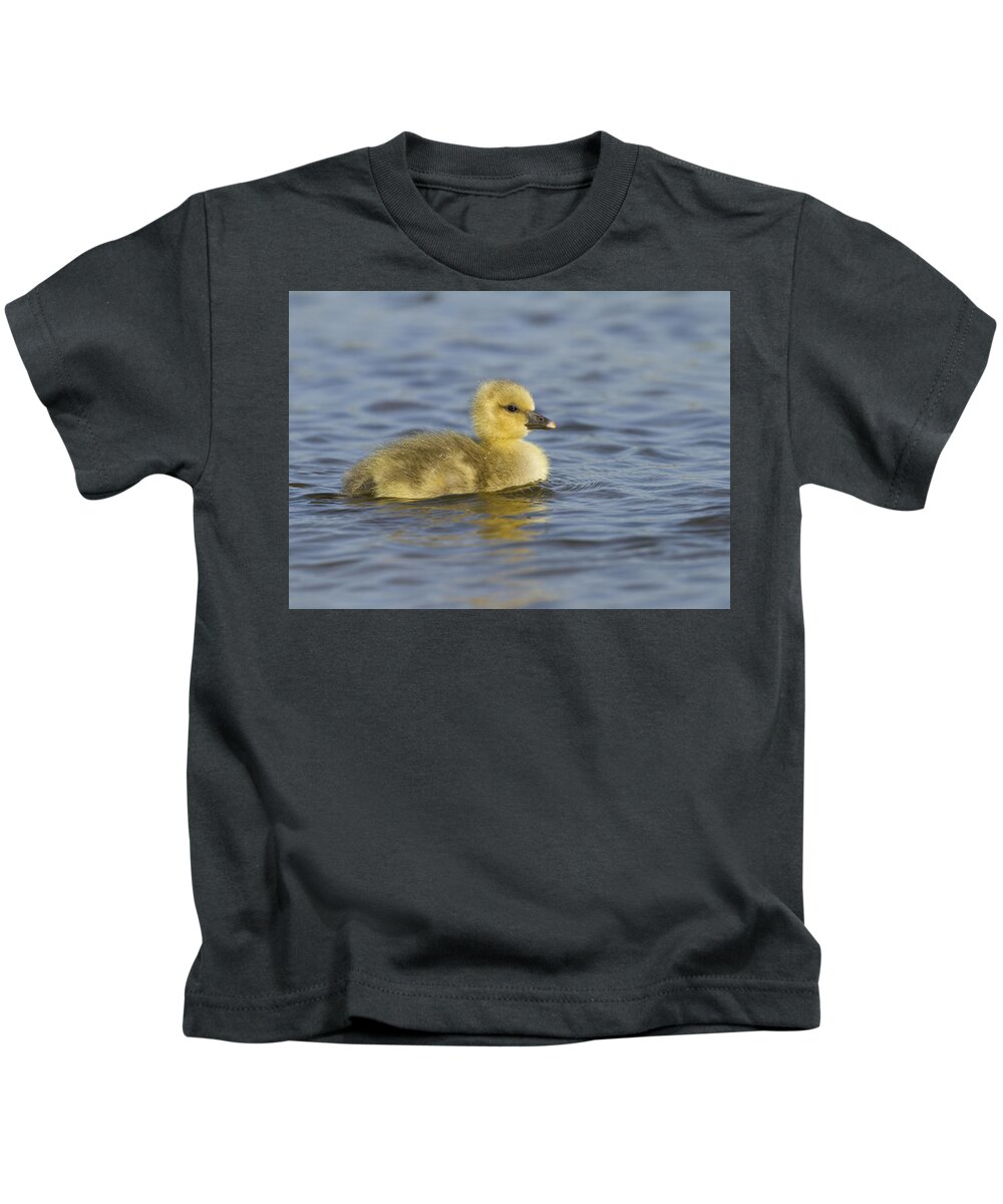 Nis Kids T-Shirt featuring the photograph Greylag Goose Gosling Zeeland by Sytze Jongma