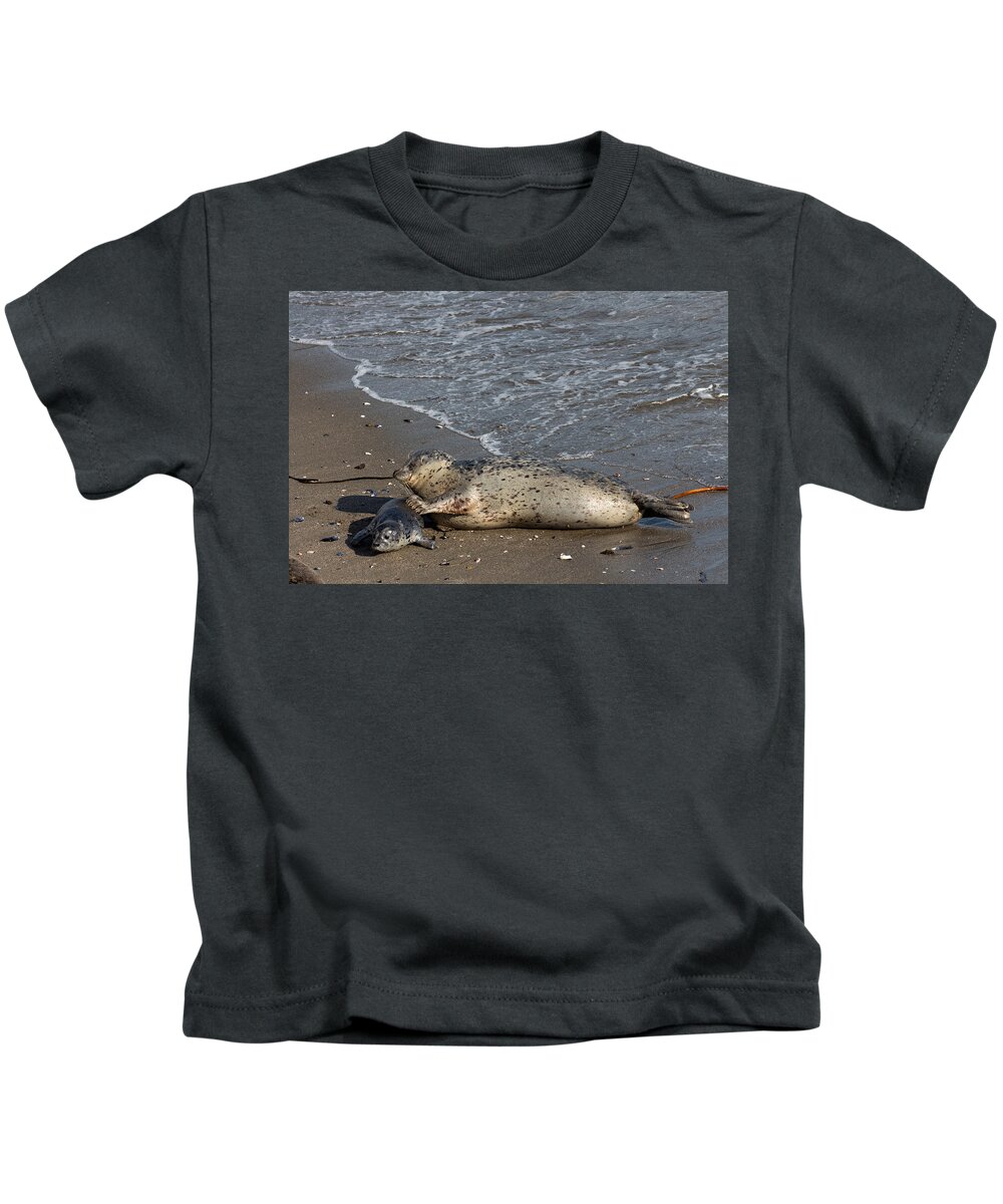 Harbor Seals Kids T-Shirt featuring the photograph Harbor Seal Pup with her Loving Mother by Kathleen Bishop