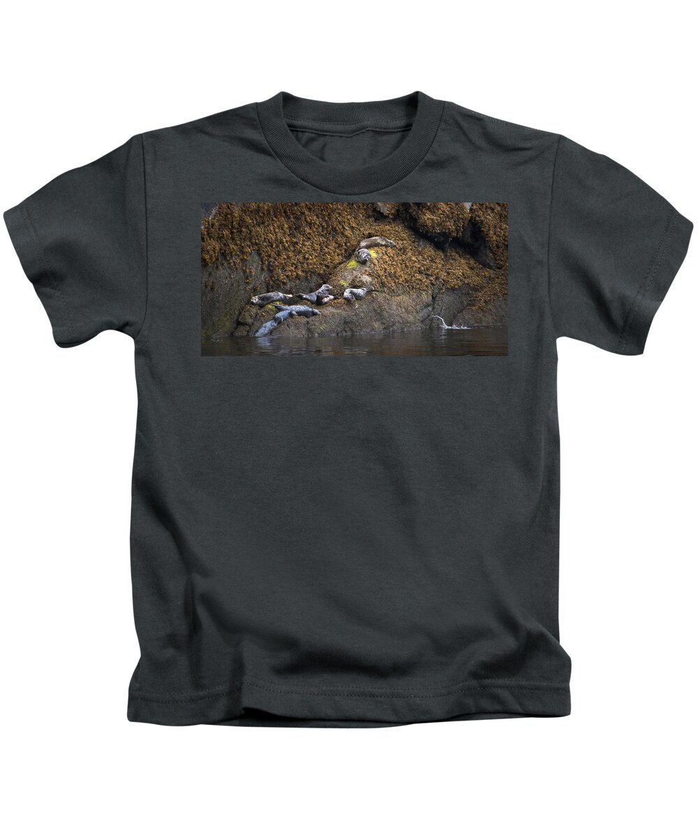 Seals Kids T-Shirt featuring the photograph Harbor Seals by Natalie Rotman Cote