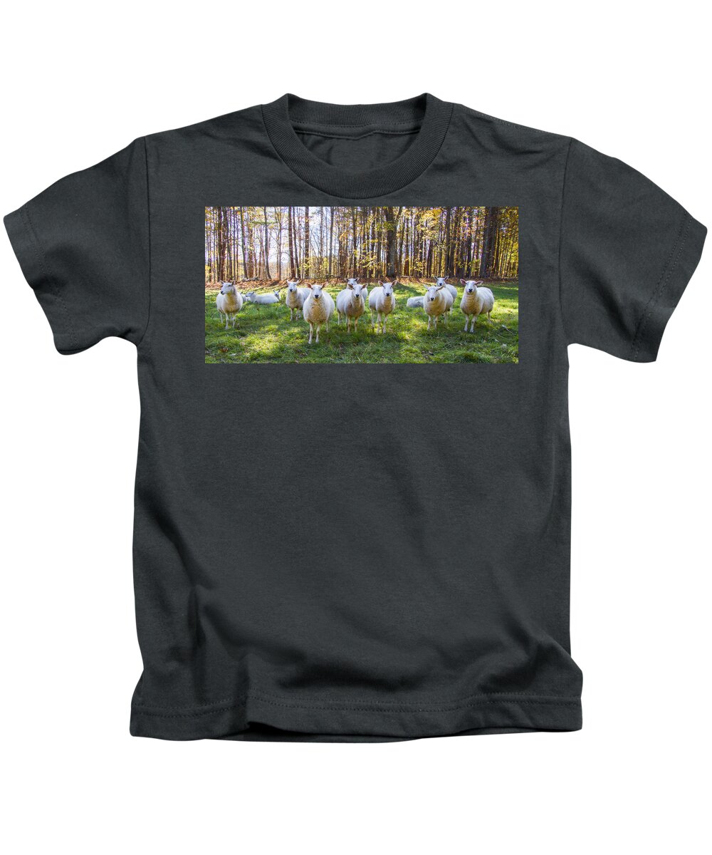 Sheep Kids T-Shirt featuring the photograph Hello There by Natalie Rotman Cote