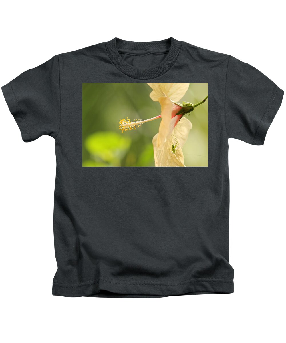 Hyacinth Kids T-Shirt featuring the photograph Home by Erin Thomsen