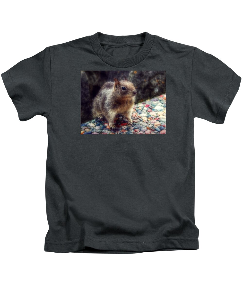 Squirrel Kids T-Shirt featuring the photograph I'm Watching You by Melanie Lankford Photography