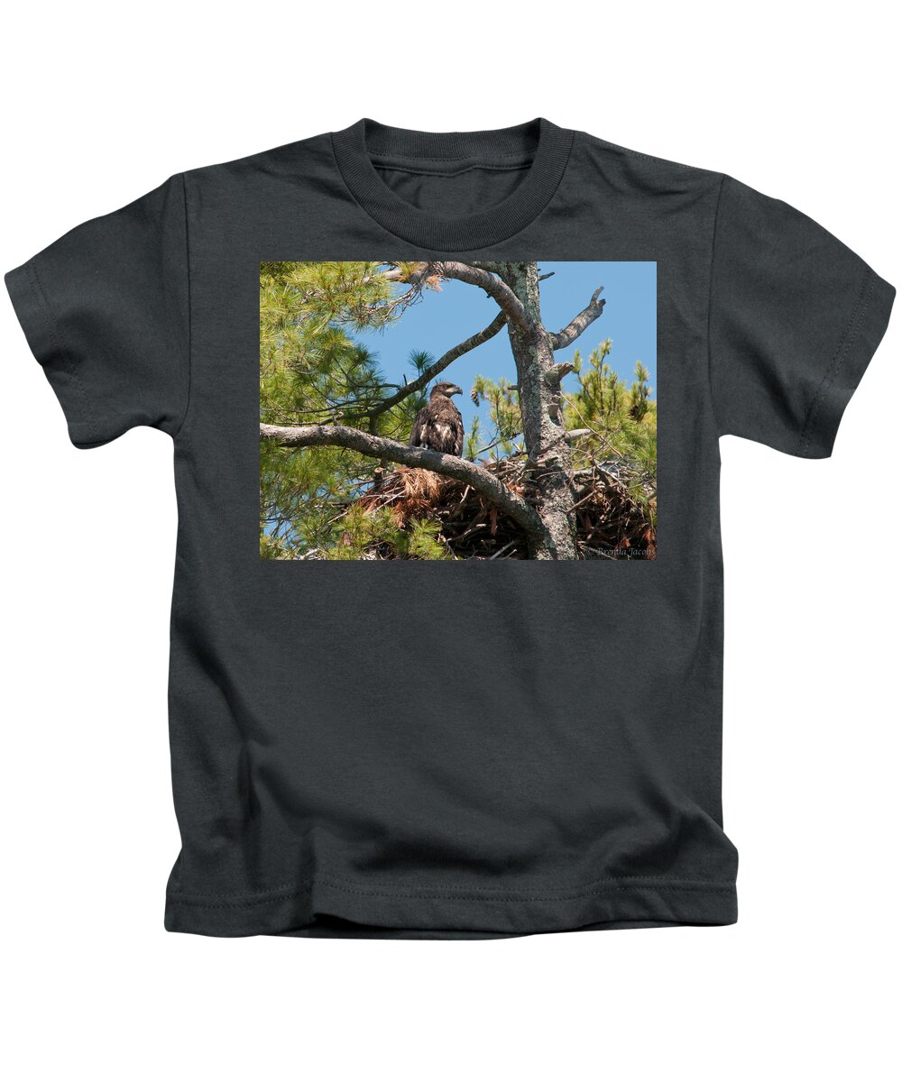 Bald Eagle Kids T-Shirt featuring the photograph Immature Bald Eagle by Brenda Jacobs