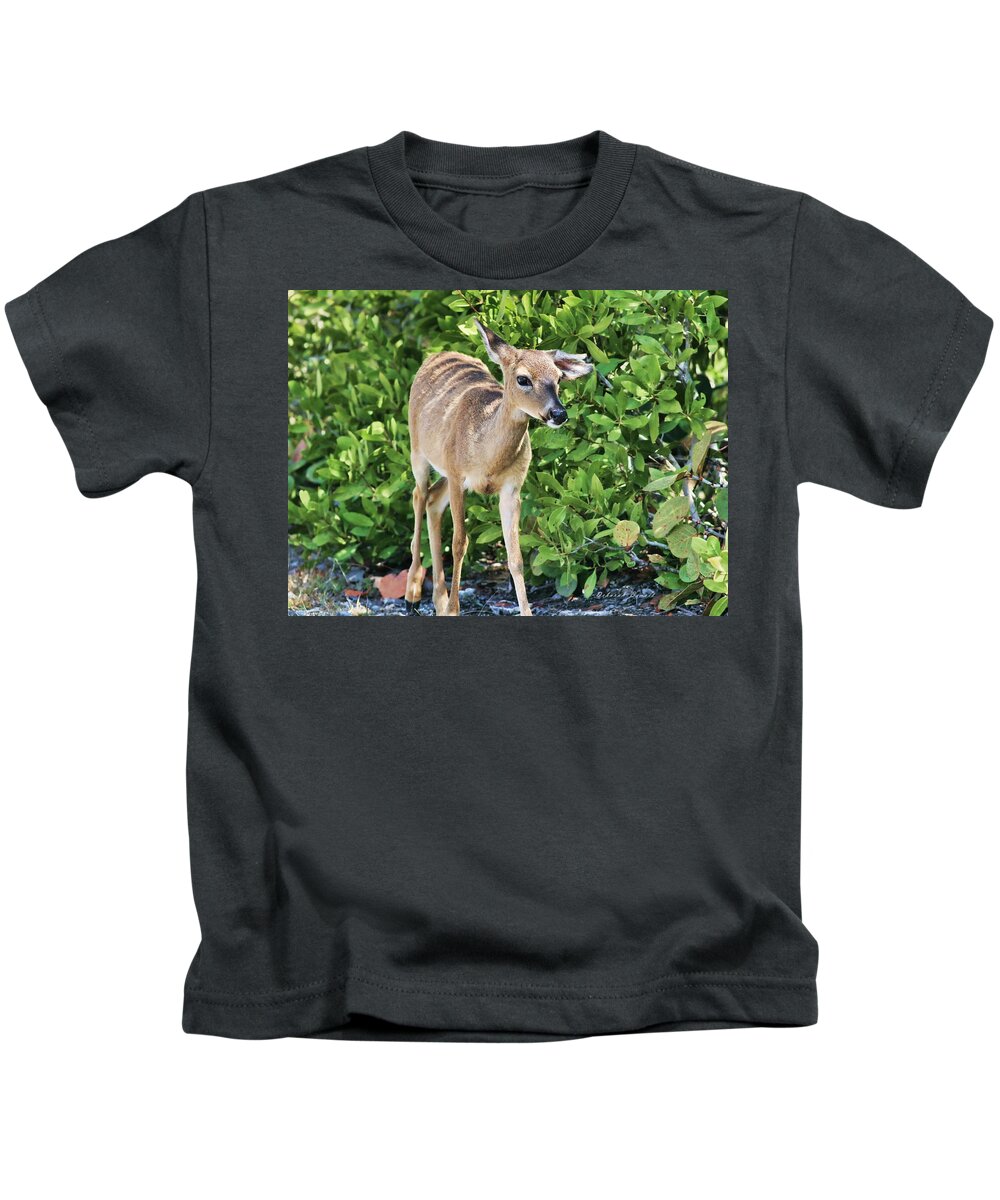Deer Kids T-Shirt featuring the photograph Key Deer Cuteness by Deborah Benoit