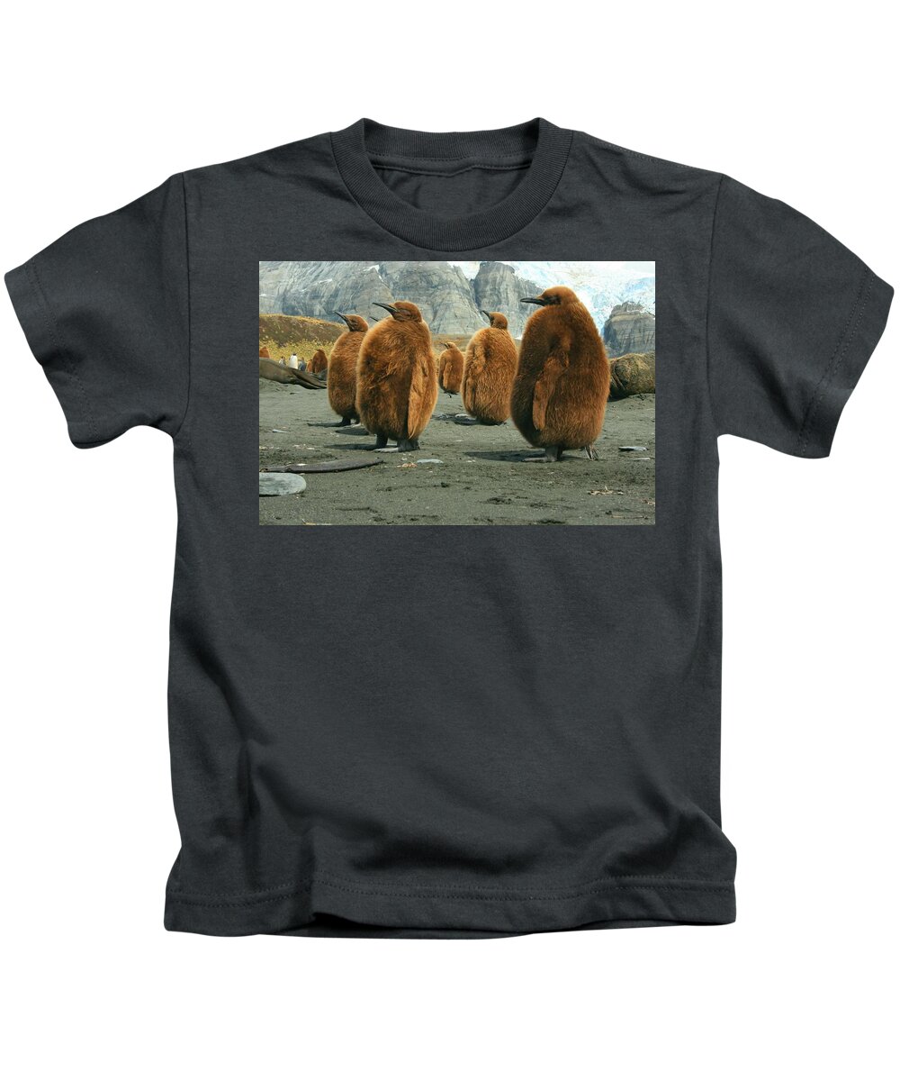 King Penguin Chicks Kids T-Shirt featuring the photograph King Penguin Chicks by Amanda Stadther