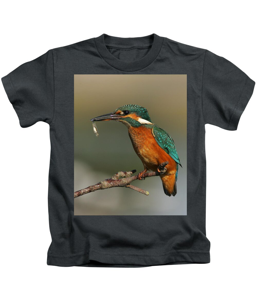 Kingfisher Kids T-Shirt featuring the photograph Kingfisher2 by Tony Mills