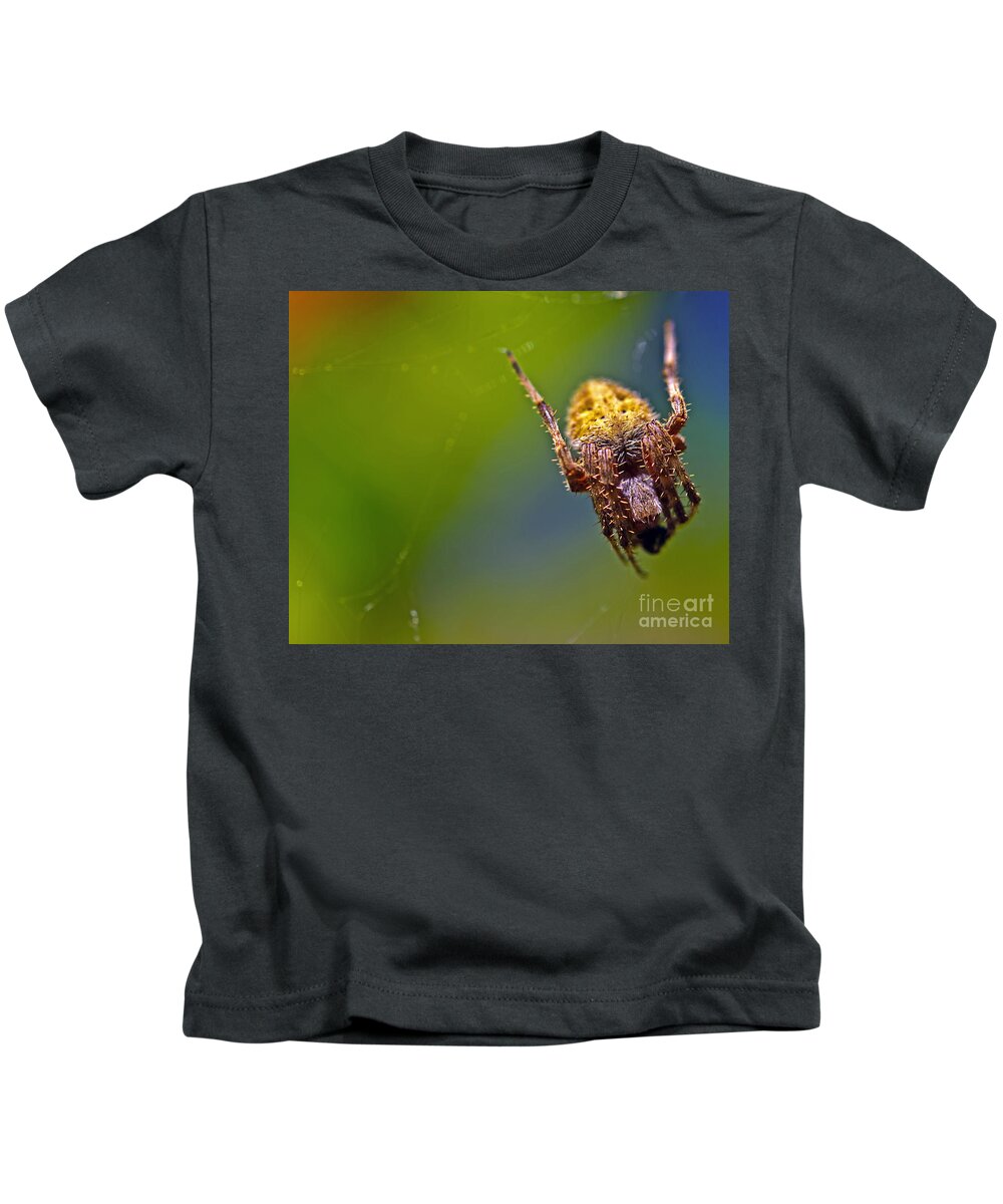 Spiders Kids T-Shirt featuring the photograph Lady Spider by PatriZio M Busnel