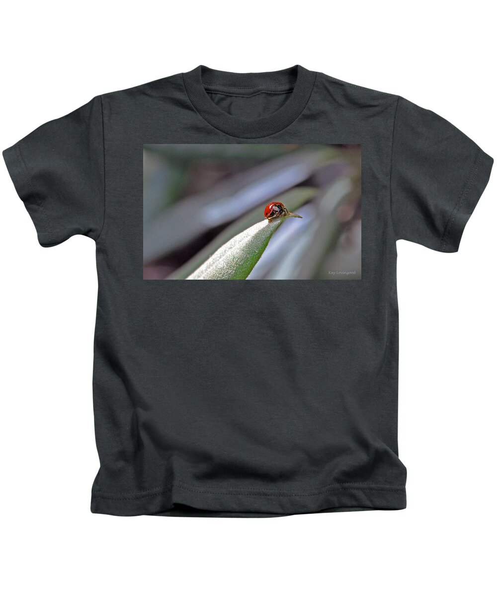 Nature Kids T-Shirt featuring the photograph Ladybug on a Leaf by Kay Lovingood