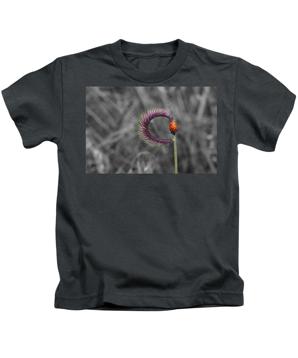 Ladybug Kids T-Shirt featuring the photograph Ladybug by Ron White