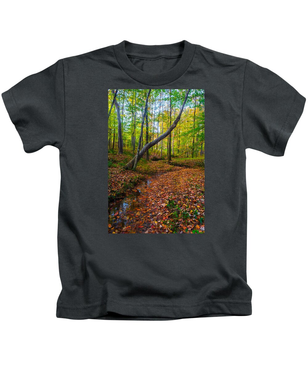 Magical Kids T-Shirt featuring the photograph Land of the Fairies by Parker Cunningham