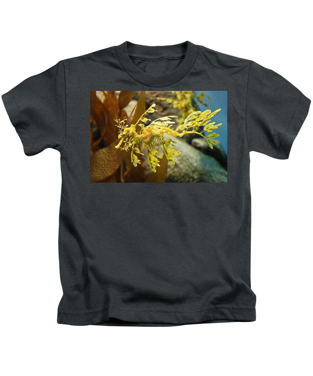 Leafy Kids T-Shirt featuring the photograph Leafy Sea Dragon by Shane Kelly