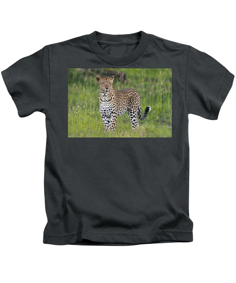 Sergey Gorshkov Kids T-Shirt featuring the photograph Leopard Sabi-sands Game Reserve South by Sergey Gorshkov