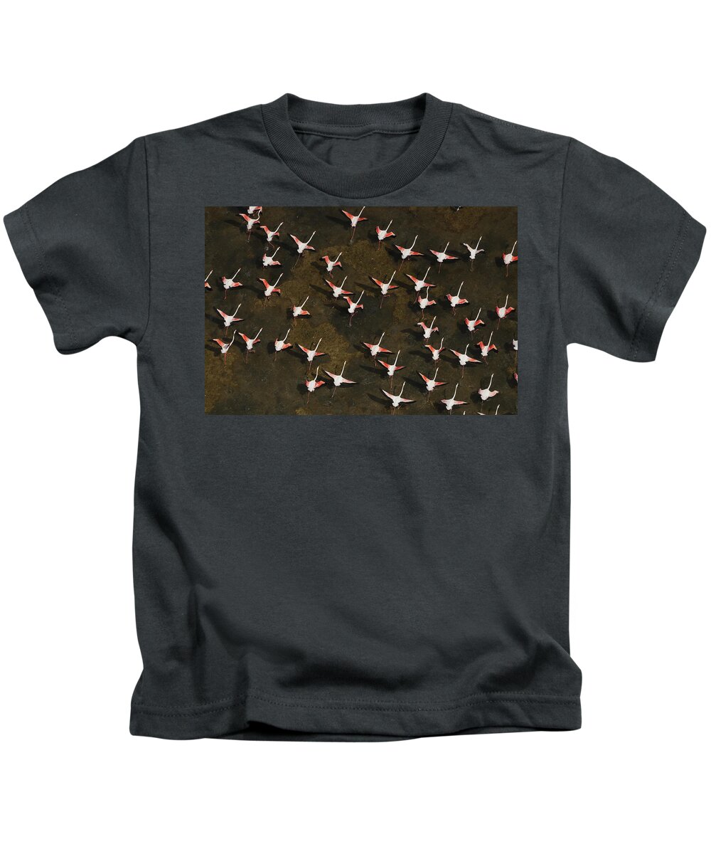 531224 Kids T-Shirt featuring the photograph Lesser Flamingo Flock Flying South by Hiroya Minakuchi