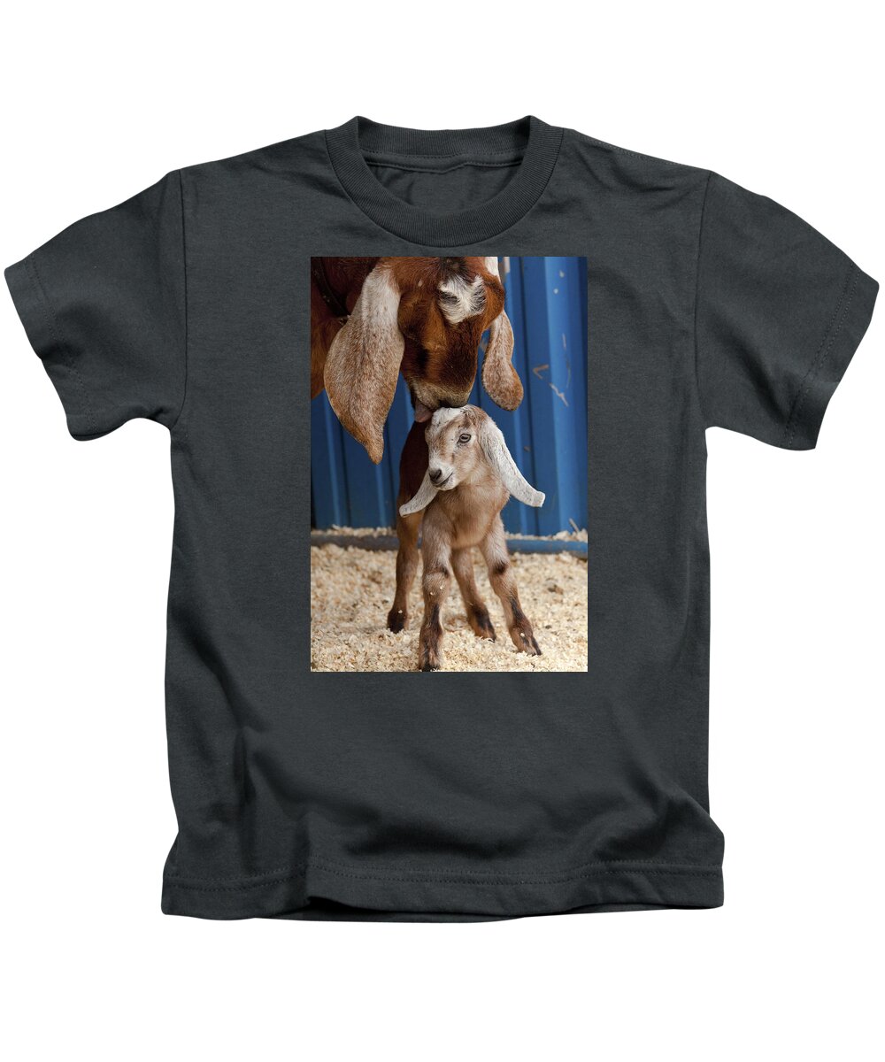 Goat Kids T-Shirt featuring the photograph Licked Clean by Caitlyn Grasso