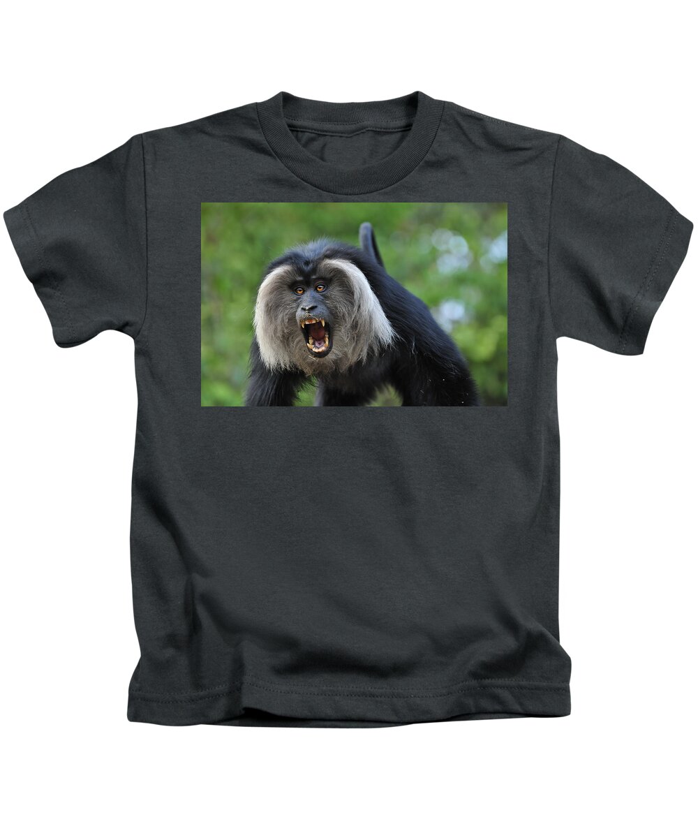 Thomas Marent Kids T-Shirt featuring the photograph Lion-tailed Macaque Threat Display India by Thomas Marent