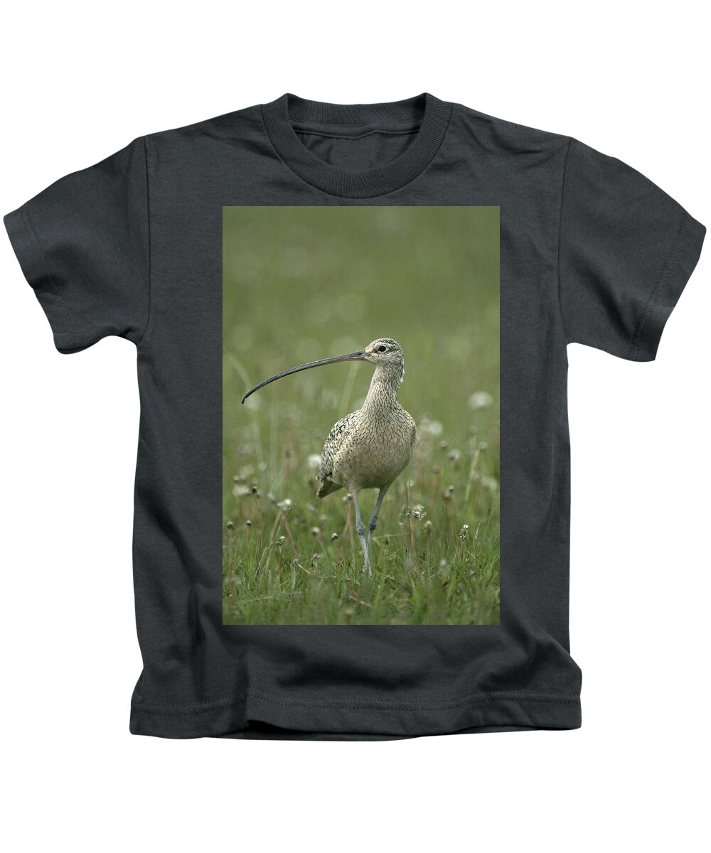 Feb0514 Kids T-Shirt featuring the photograph Long-billed Curlew Walking Idaho by Michael Quinton