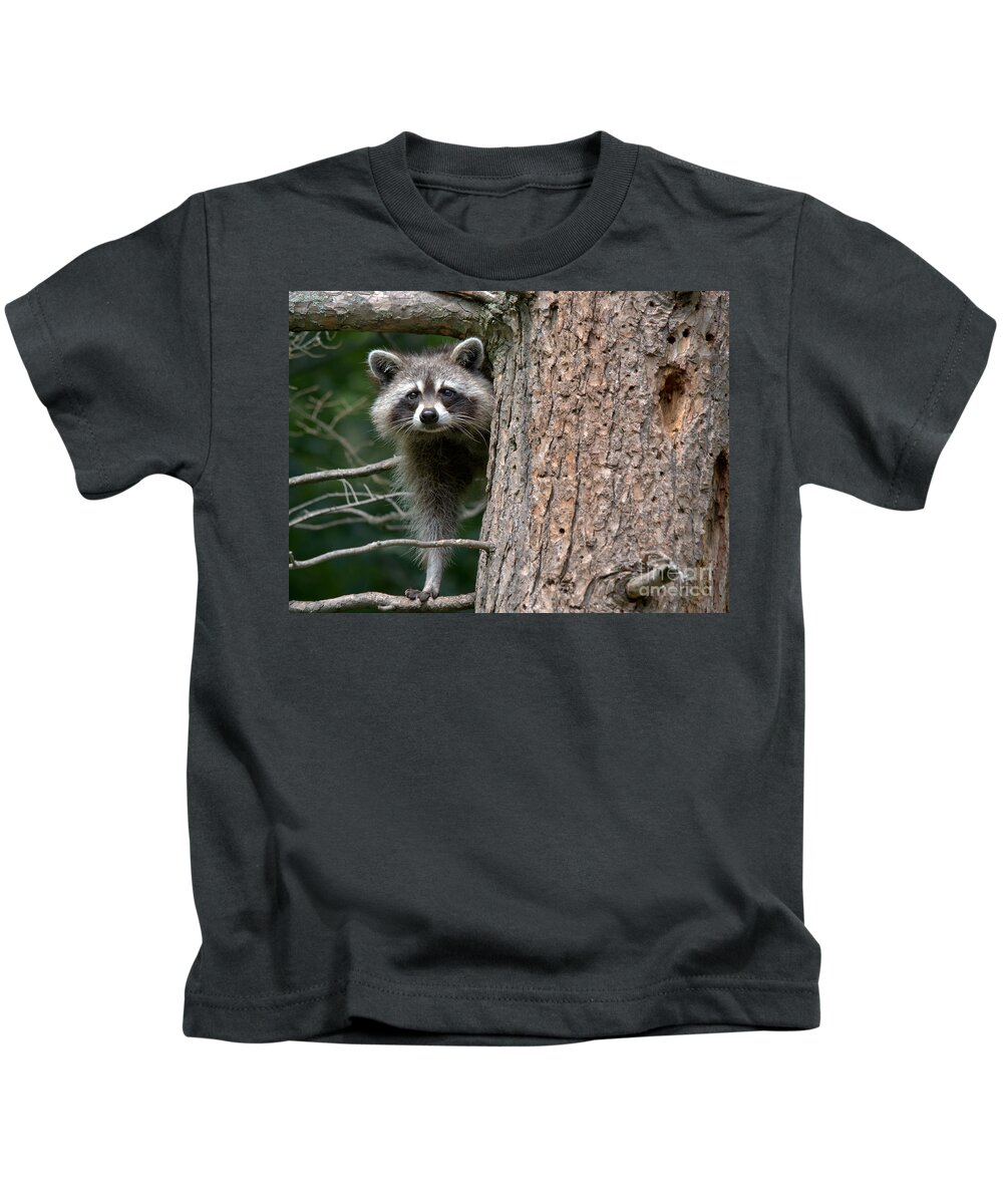 Raccoon Kids T-Shirt featuring the photograph Looking For Food by Cheryl Baxter