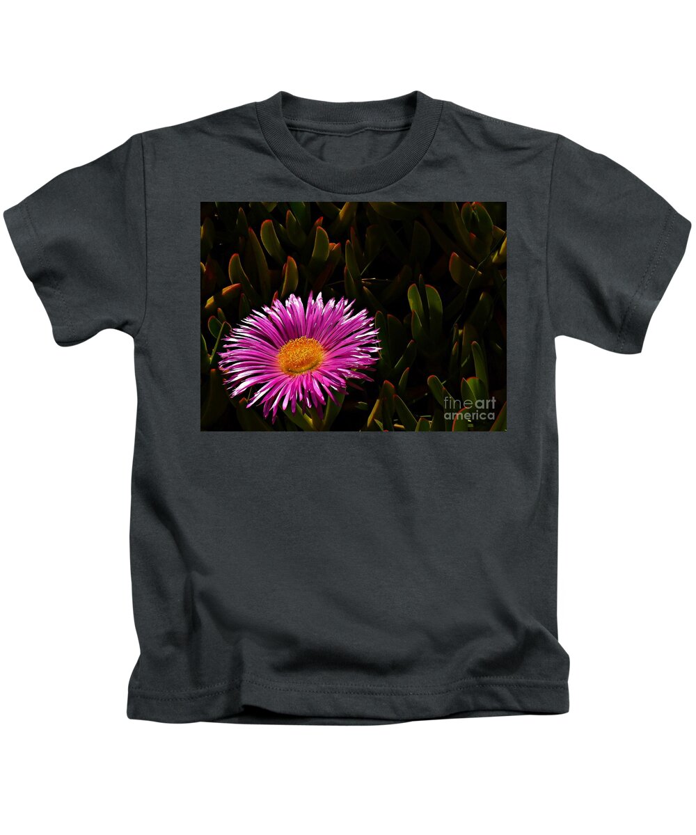 Hottentot Fig Marigold Kids T-Shirt featuring the photograph Loving the Sun by Clare Bevan