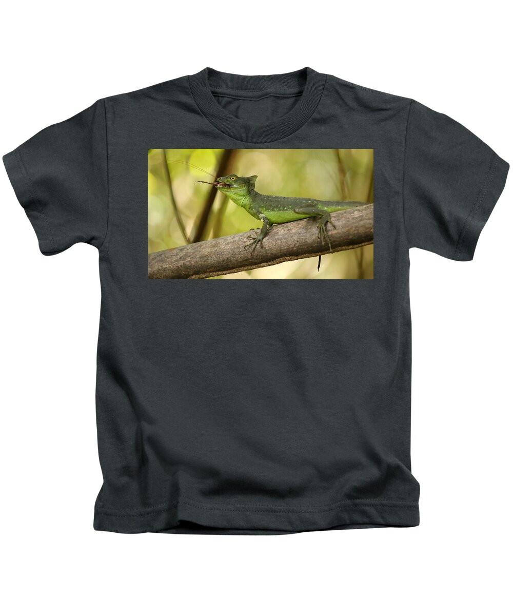 Lizard Kids T-Shirt featuring the photograph Lunch by BYET Photography