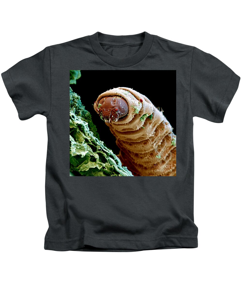Maggot Kids T-Shirt by Eye of Science - Pixels
