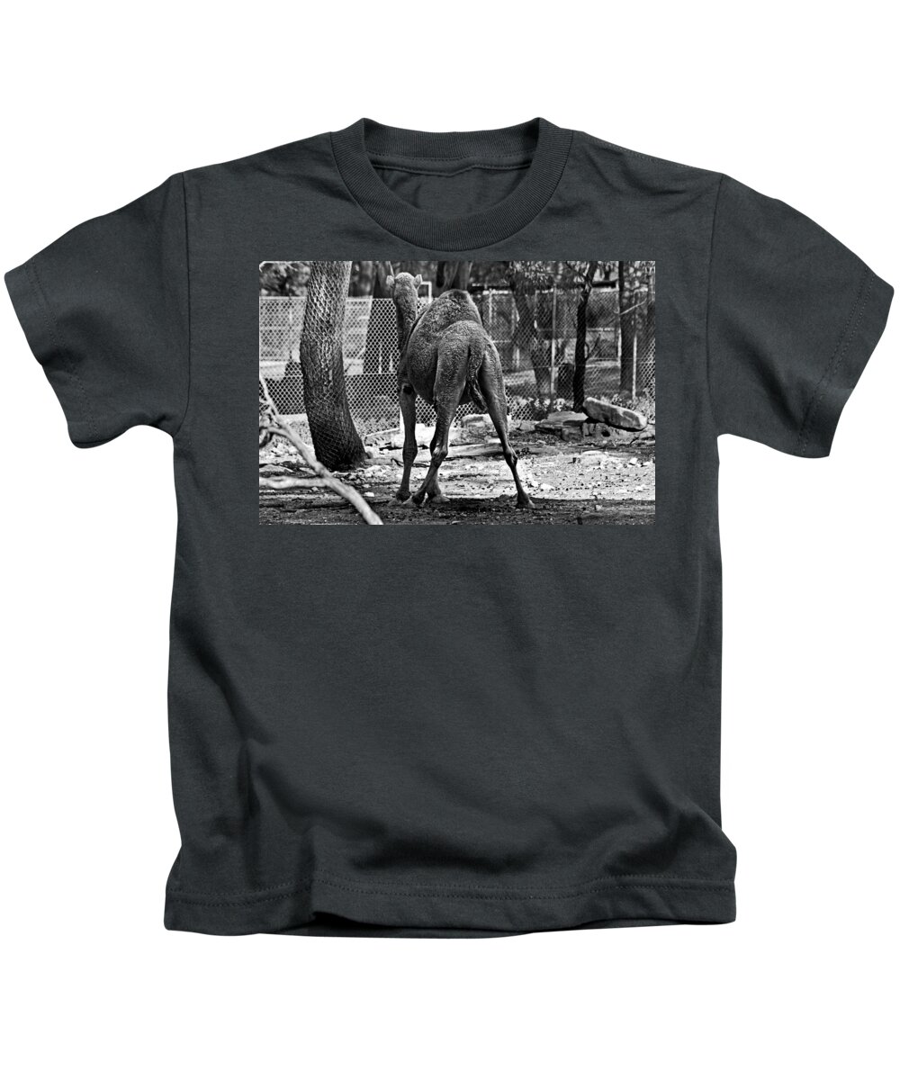 #camel Kids T-Shirt featuring the photograph Making a stand by Miroslava Jurcik