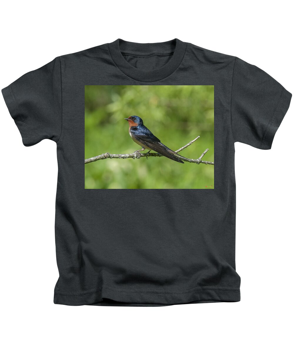 Marsh Kids T-Shirt featuring the photograph Male Barn Swallow Hirundo rustica DSB262 by Gerry Gantt