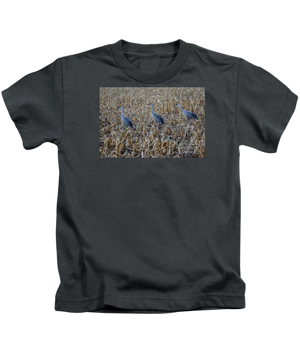 Birds Kids T-Shirt featuring the photograph Migrating Sandhill Cranes by Robert Bales