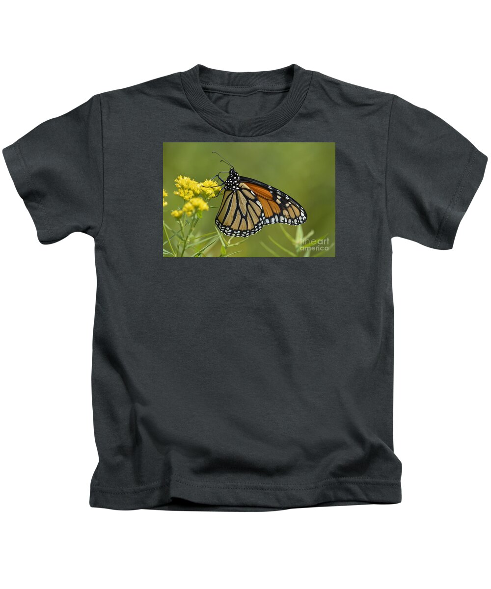 Wildflowers Kids T-Shirt featuring the photograph Monarch 2014 by Randy Bodkins