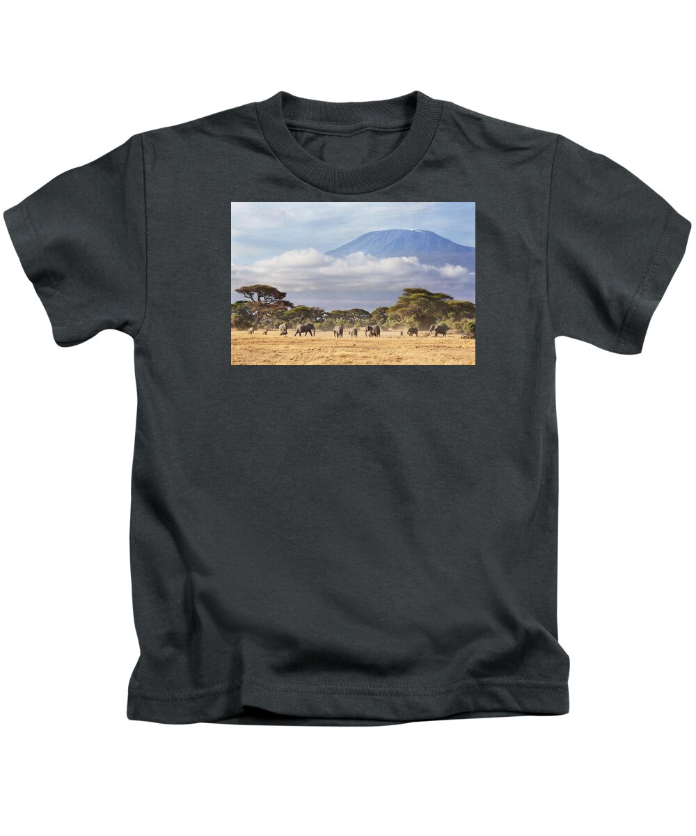 Nis Kids T-Shirt featuring the photograph Mount Kilimanjaro Amboseli by Richard Garvey-Williams