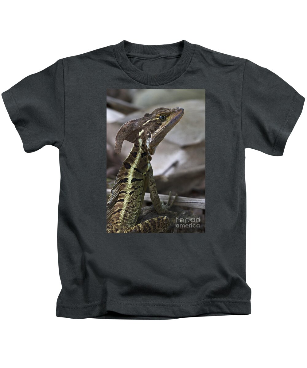 Nina Stavlund Kids T-Shirt featuring the photograph Mr. Basilisk.. by Nina Stavlund