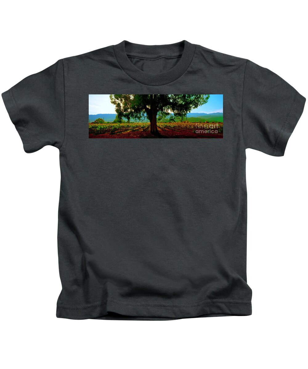Napa Kids T-Shirt featuring the photograph Napa Valley winery roadside by Tom Jelen