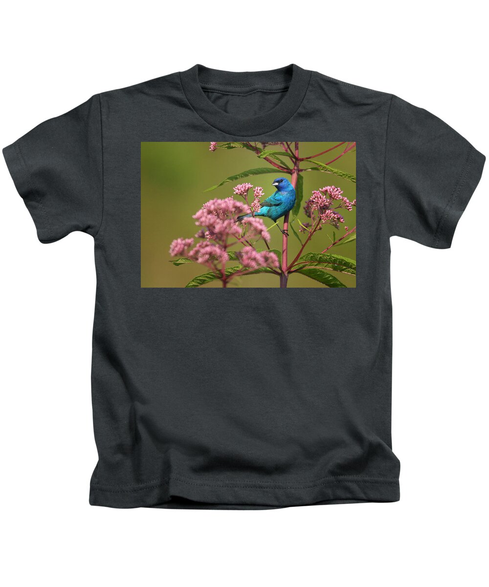 Indigo Bunting Kids T-Shirt featuring the photograph Natural Beauty by Rob Blair
