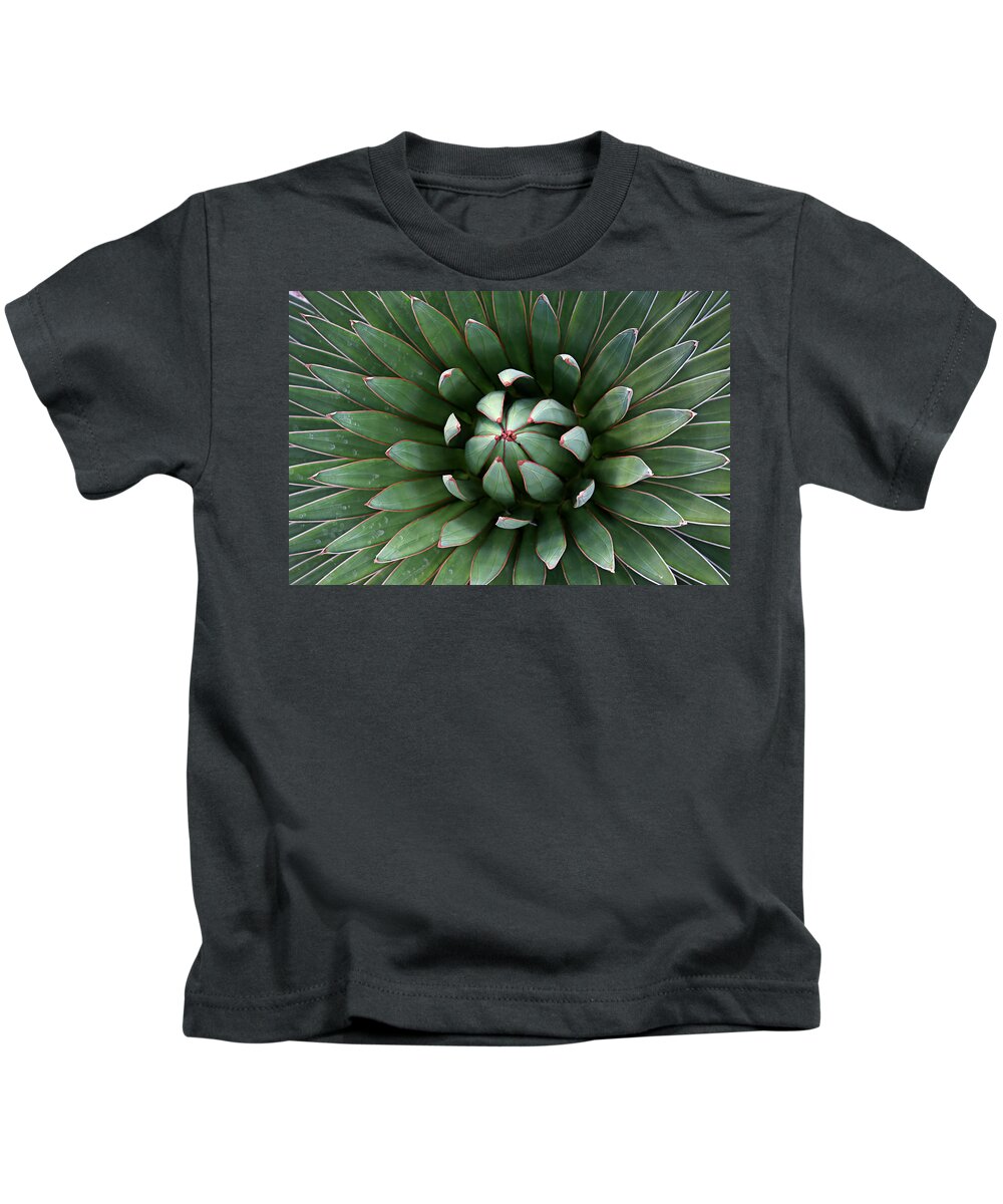 Lucinda Walter Kids T-Shirt featuring the photograph Nature's Perfect Abstract by Lucinda Walter