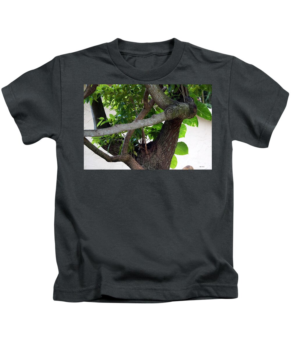 Nispero Kids T-Shirt featuring the photograph Nispero Tree by Rafael Salazar
