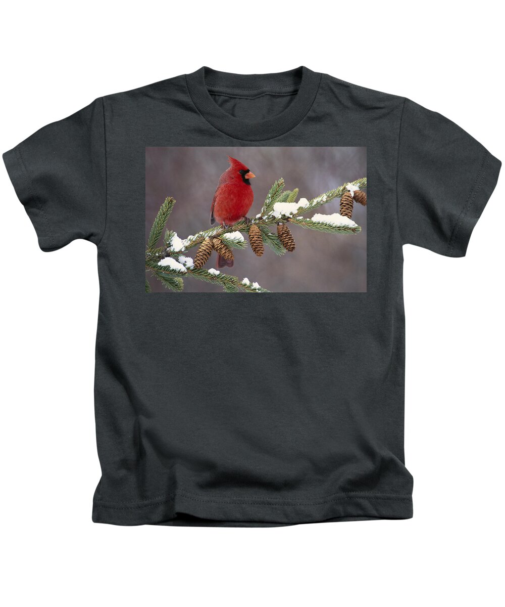 00447547 Kids T-Shirt featuring the photograph Cardinal and Pine Cones by Steve Gettle