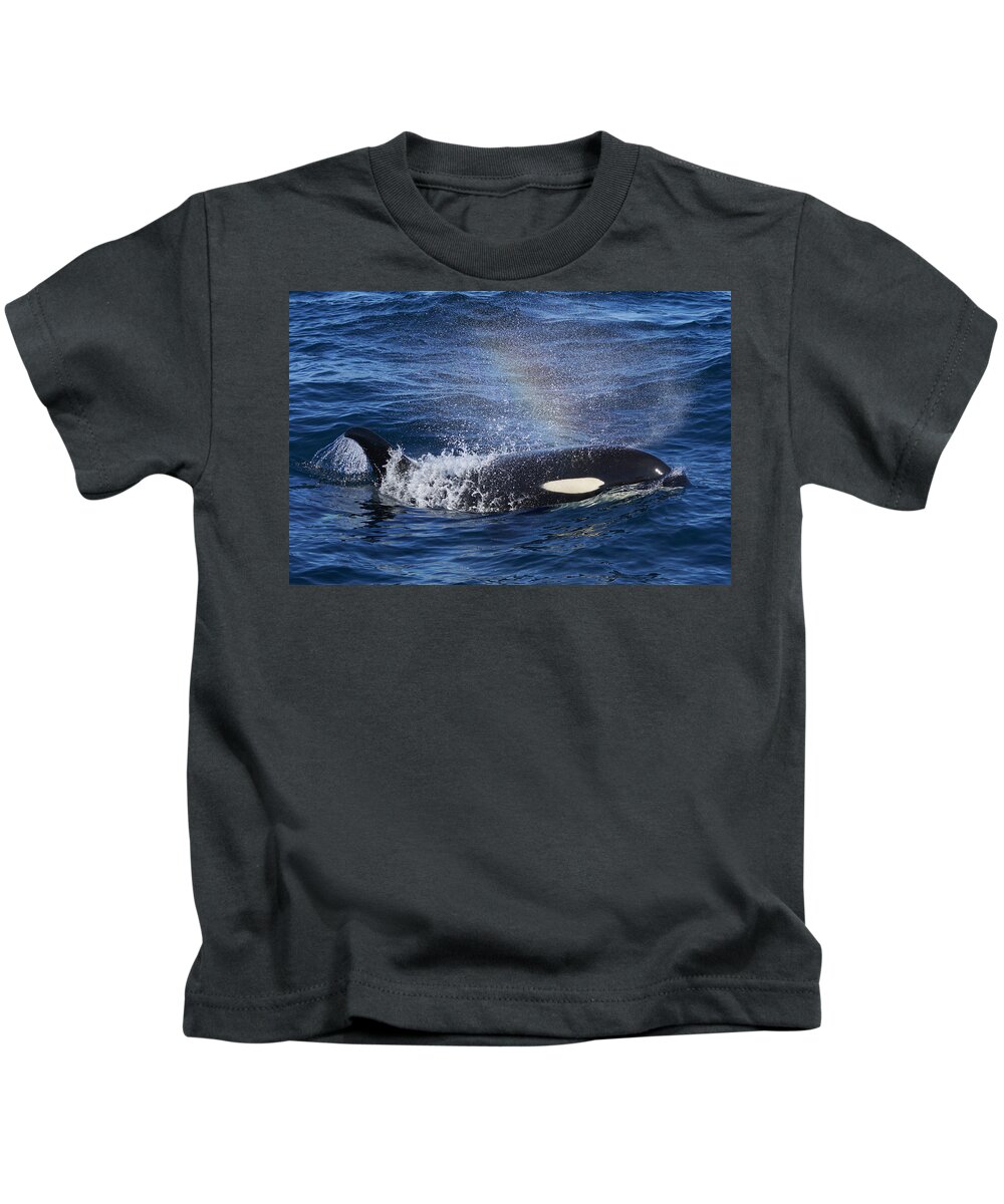 Hiroya Minakuchi Kids T-Shirt featuring the photograph Orca Surfacing Hokkaido Japan by Hiroya Minakuchi