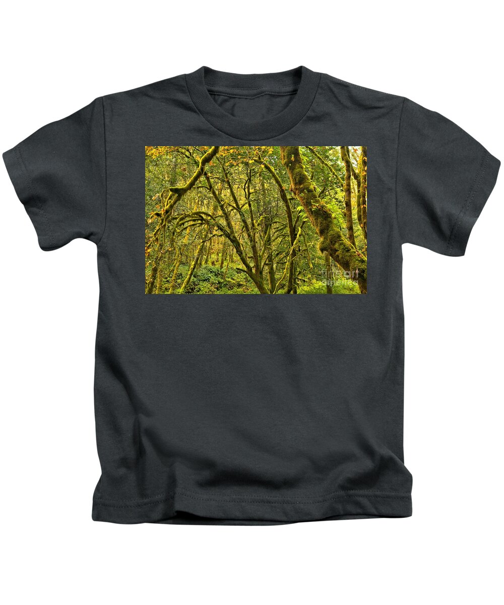 Oregon Rainforest Kids T-Shirt featuring the photograph Oregon Rainforest by Adam Jewell
