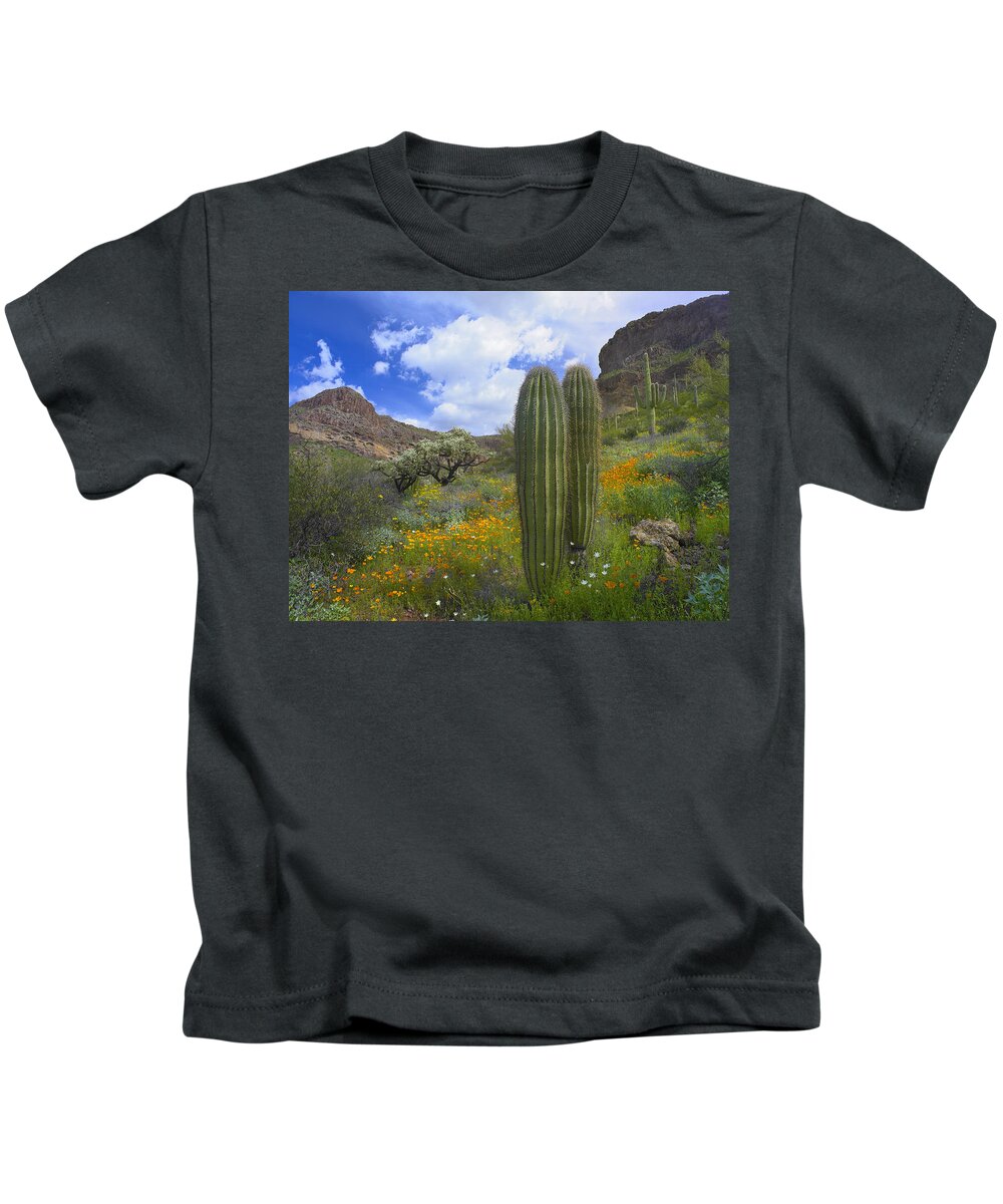 00175595 Kids T-Shirt featuring the photograph Organ Pipe Catus National Monument by Tim Fitzharris