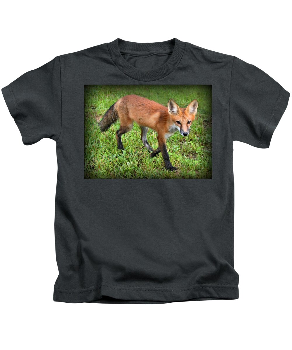 Fox Kids T-Shirt featuring the photograph Out for a Walk by Kristin Elmquist