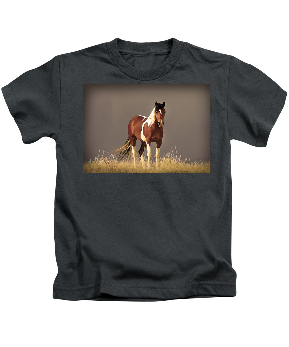 Wild Mustangs Kids T-Shirt featuring the photograph Paint Filly Wild Mustang Sepia Sky by Rich Franco
