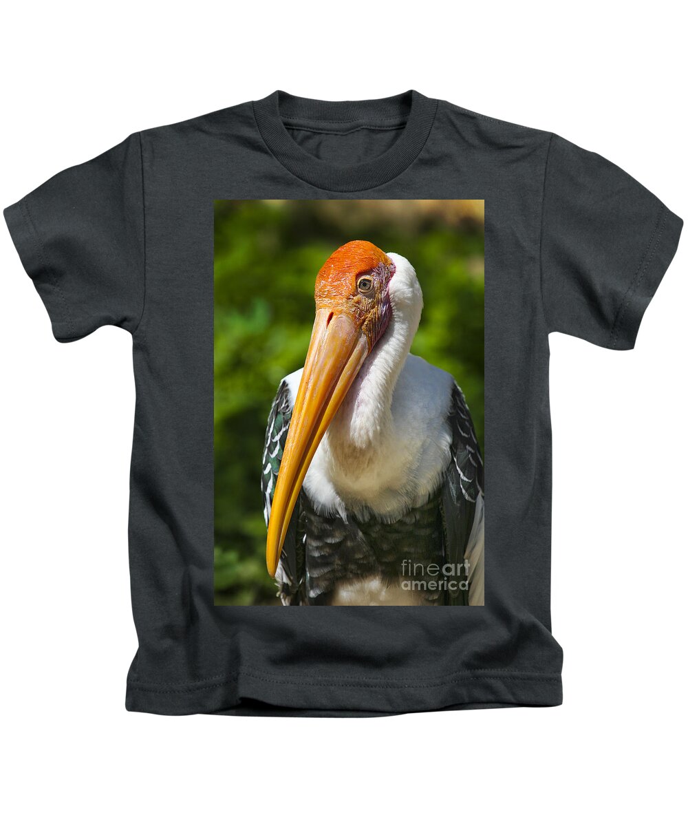 Animals Kids T-Shirt featuring the photograph Painted Stork by Timothy Hacker