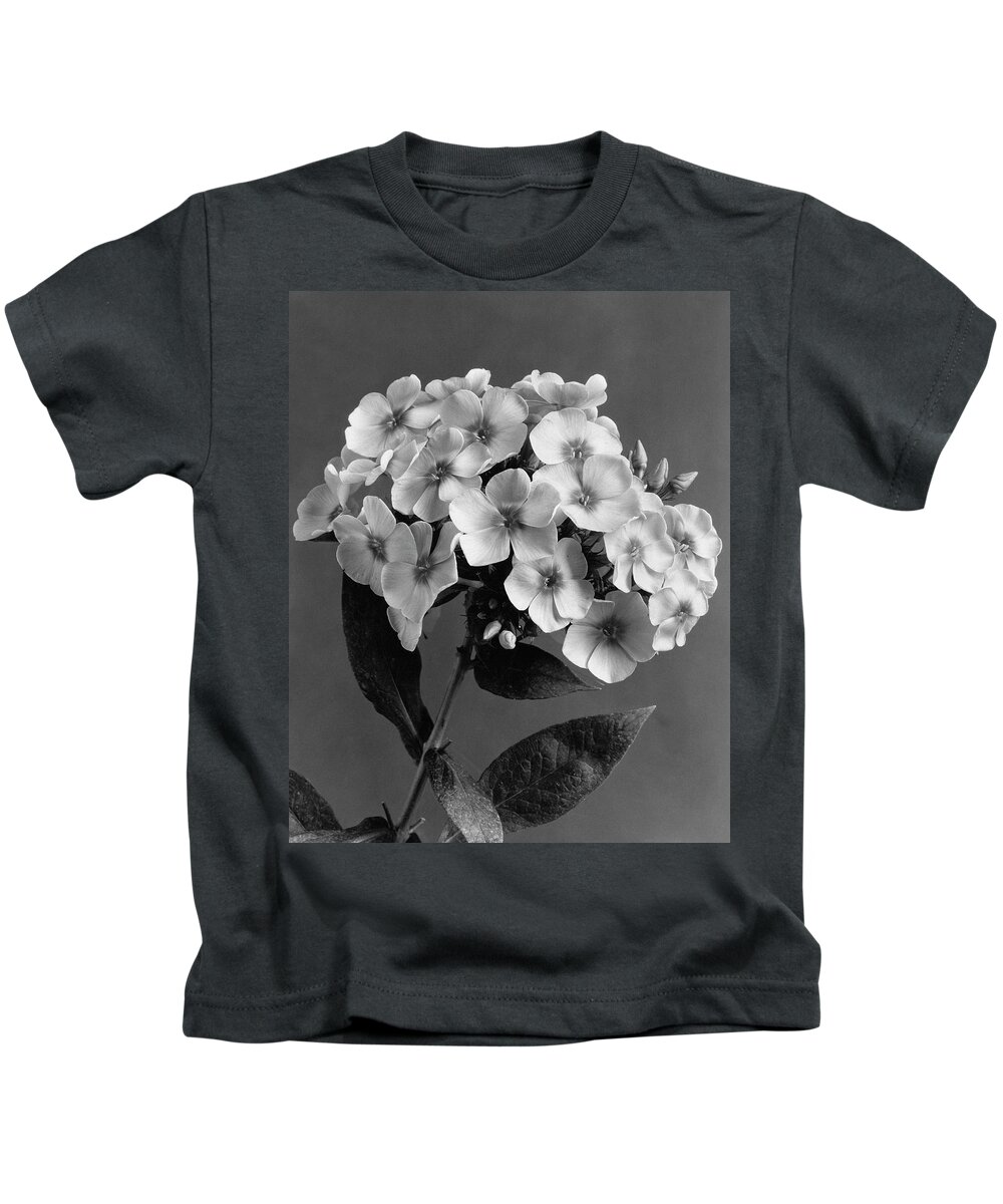 Flowers Kids T-Shirt featuring the photograph Phlox Blossoms by J. Horace McFarland