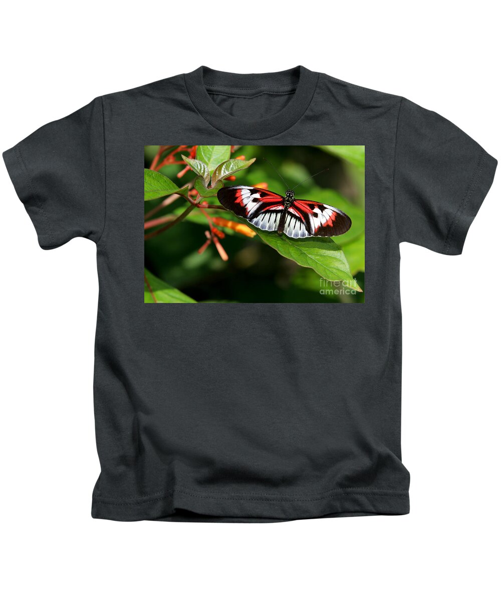 Macro Kids T-Shirt featuring the photograph Piano Key Butterfly on Fire Bush by Sabrina L Ryan