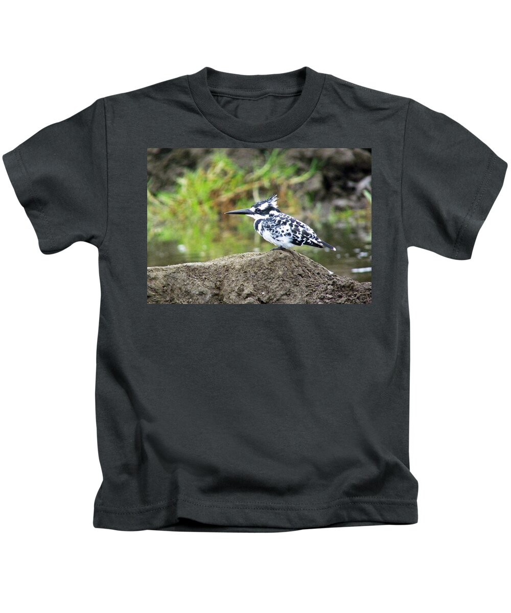 Pied Kingfisher Kids T-Shirt featuring the photograph Pied Kingfisher by Tony Murtagh