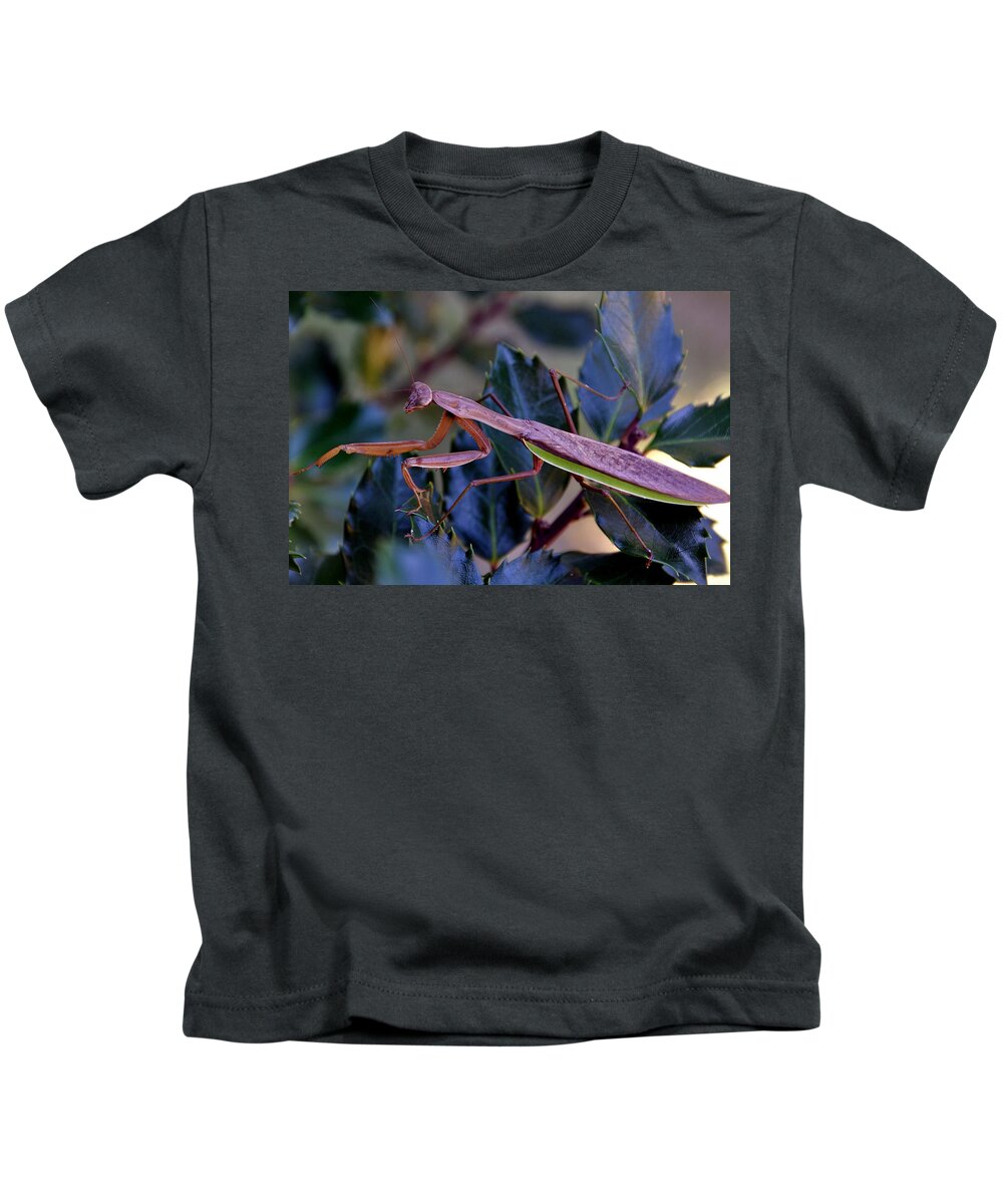 Praying Mantis Kids T-Shirt featuring the photograph Praying Mantis at Dusk by Mark Valentine