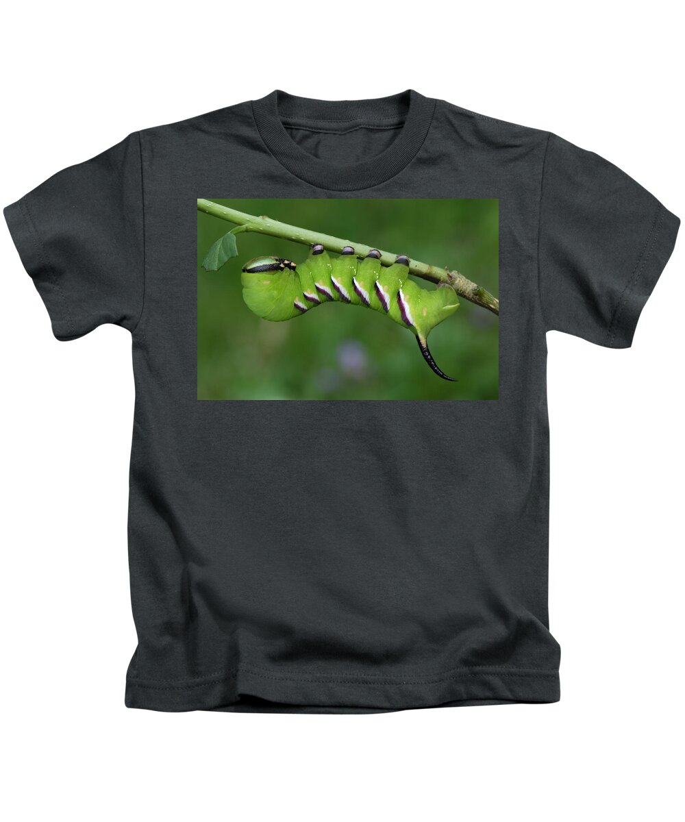 Feb0514 Kids T-Shirt featuring the photograph Privet Hawk Moth Caterpillar Switzerland by Thomas Marent