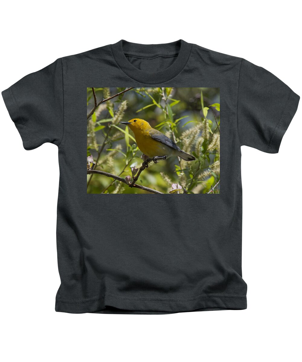 Nature Kids T-Shirt featuring the photograph Prothonotary Warbler DSB220 by Gerry Gantt